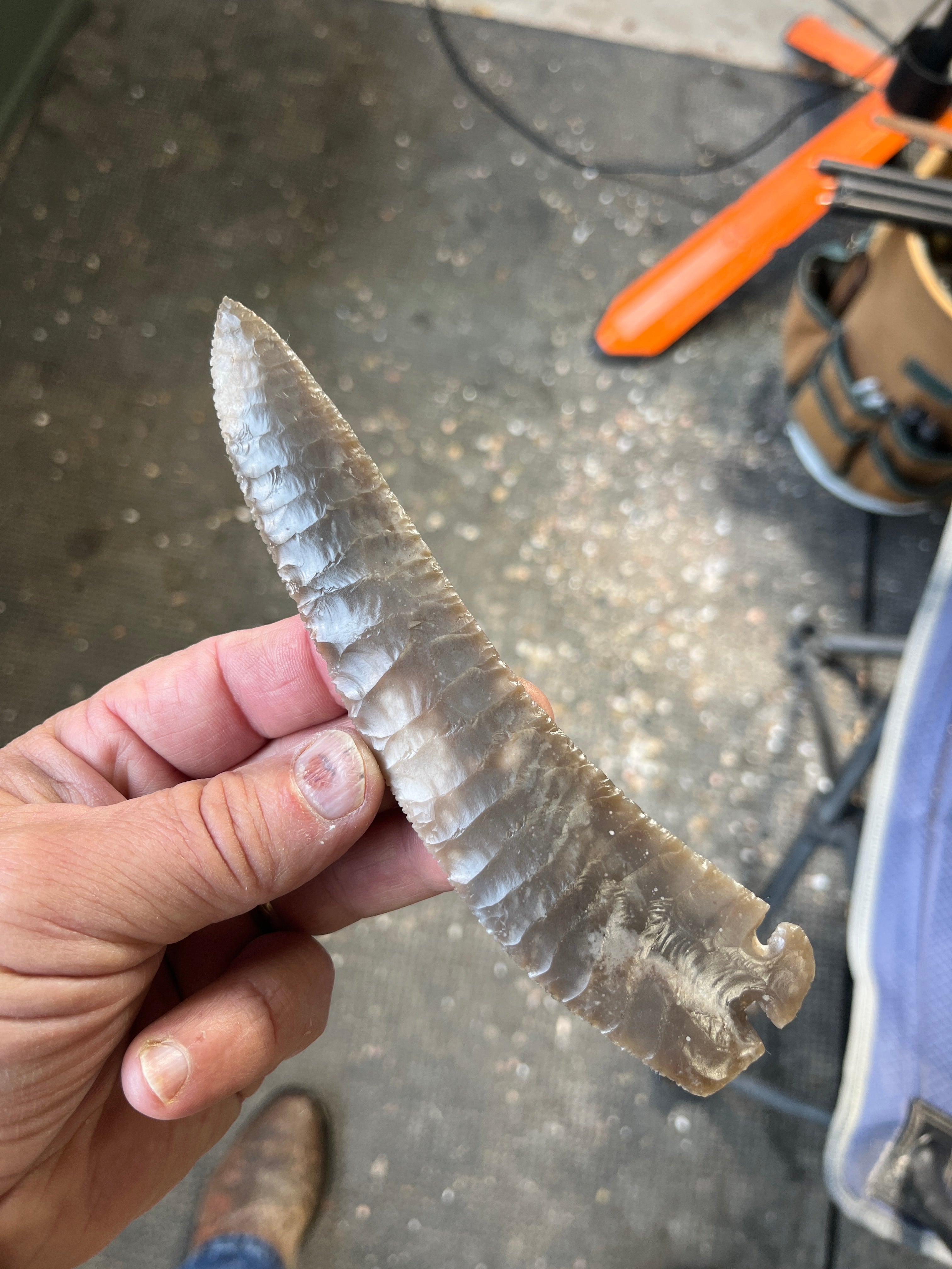 6-1/2” corner tang knife