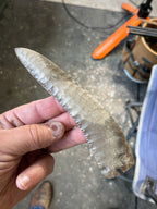 6-1/2” corner tang knife