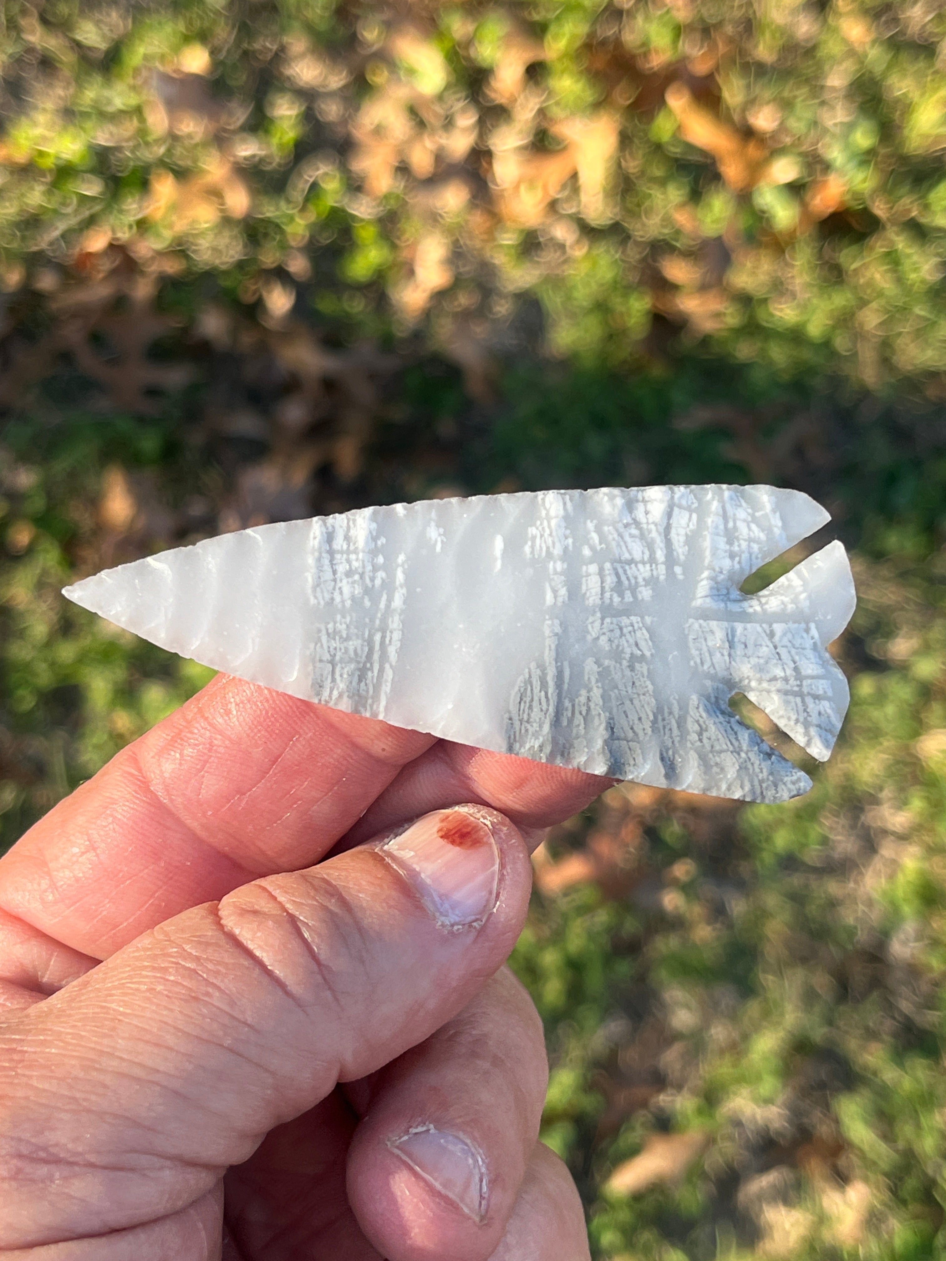 Novaculite Elko point