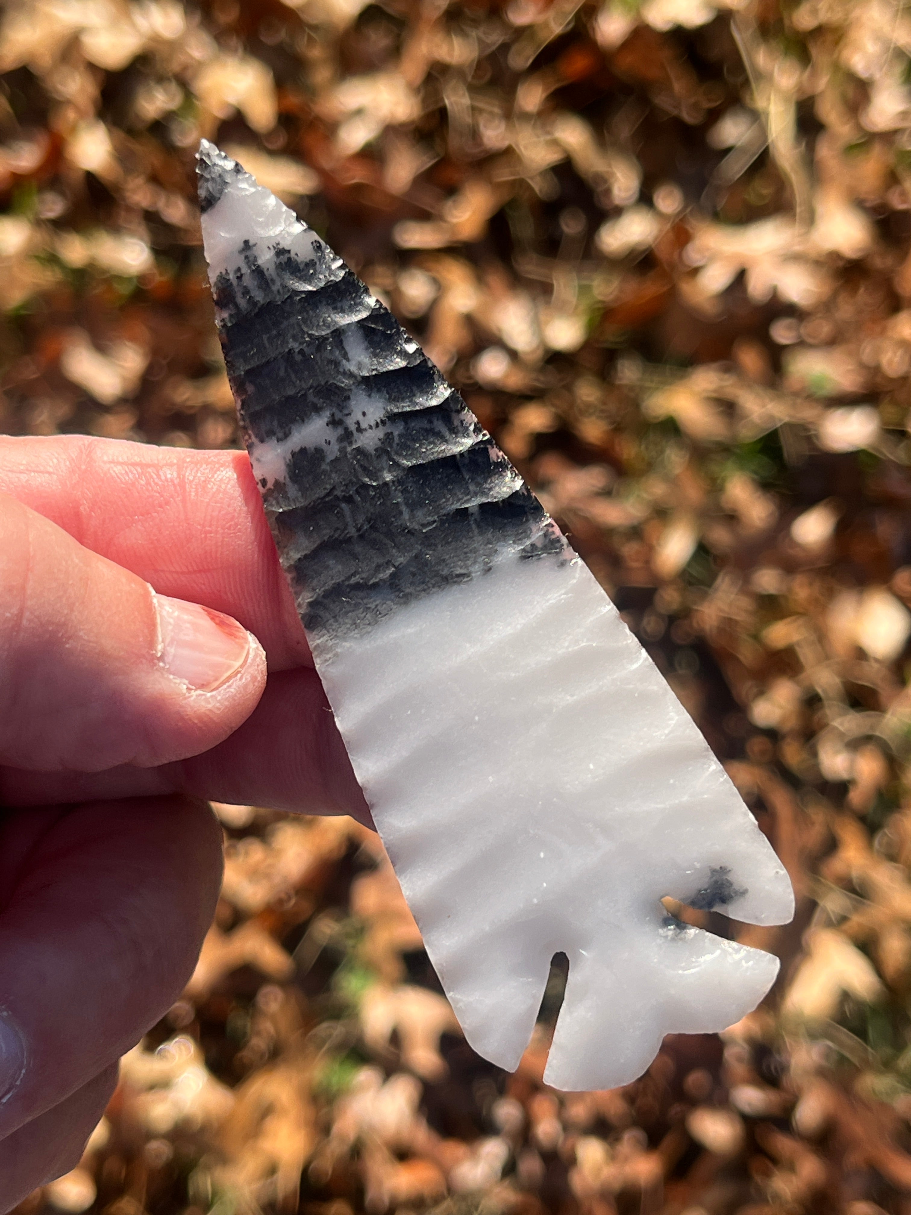 Novaculite Elko point