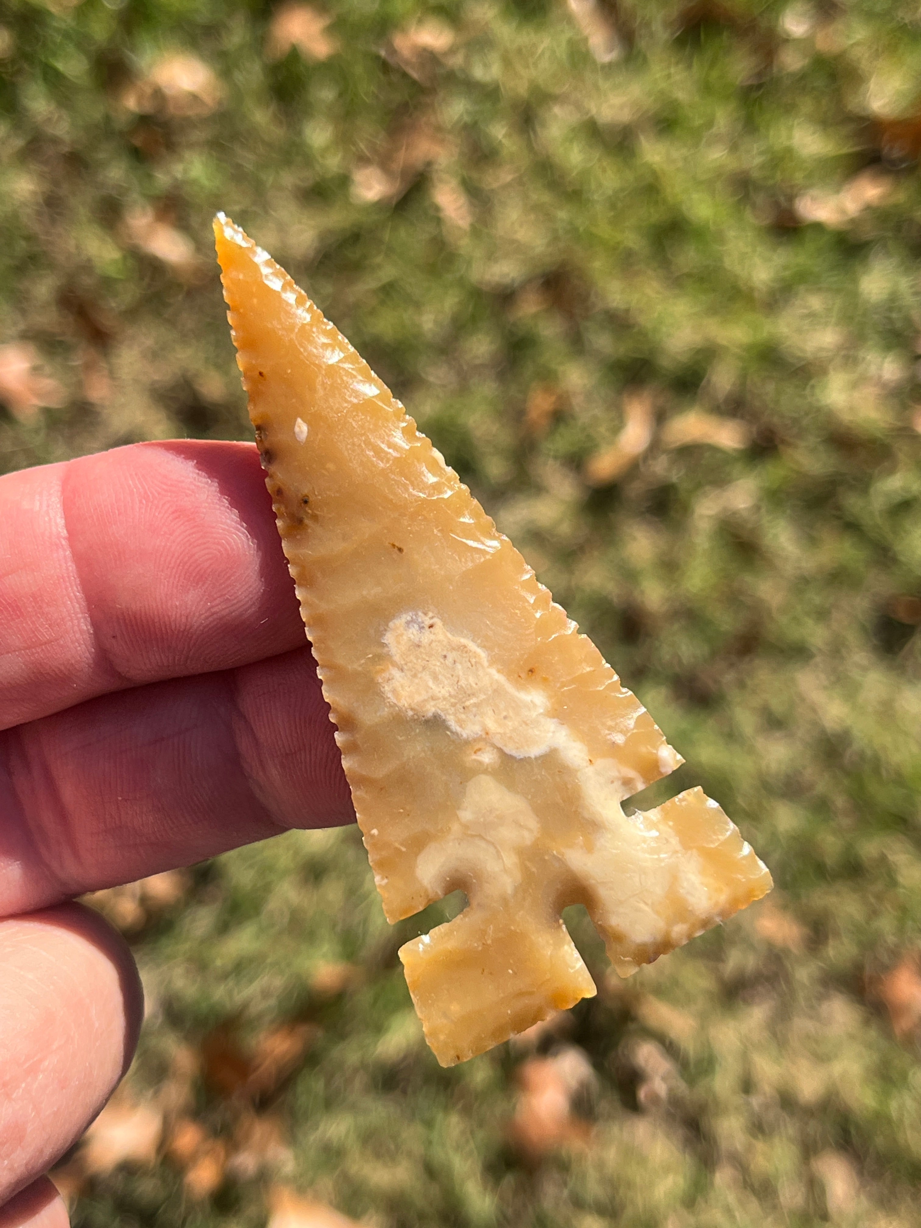 Flint River Cahokia ￼