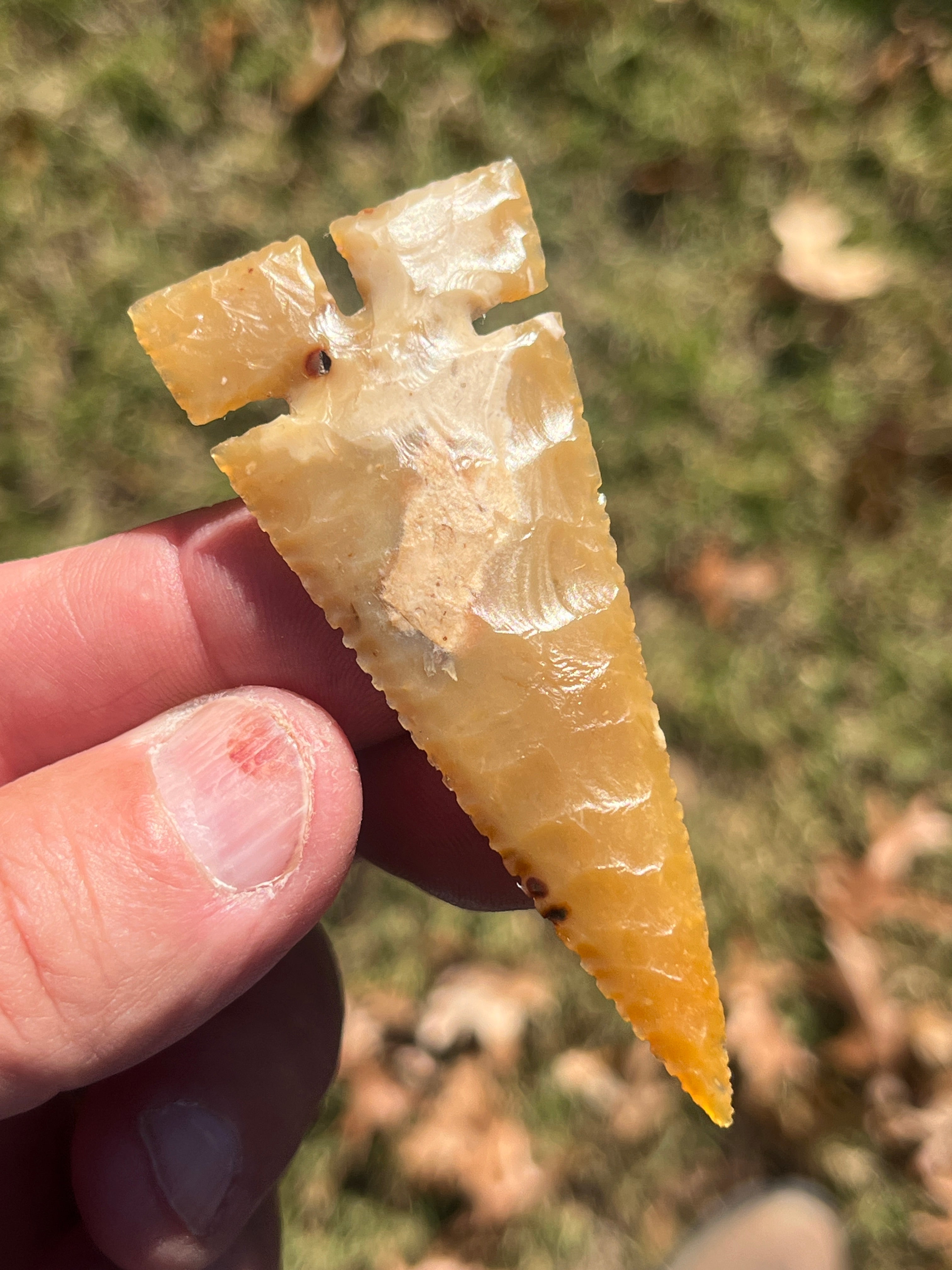 Flint River Cahokia ￼