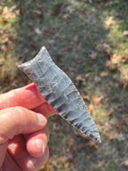 Georgetown Cumberland ￼