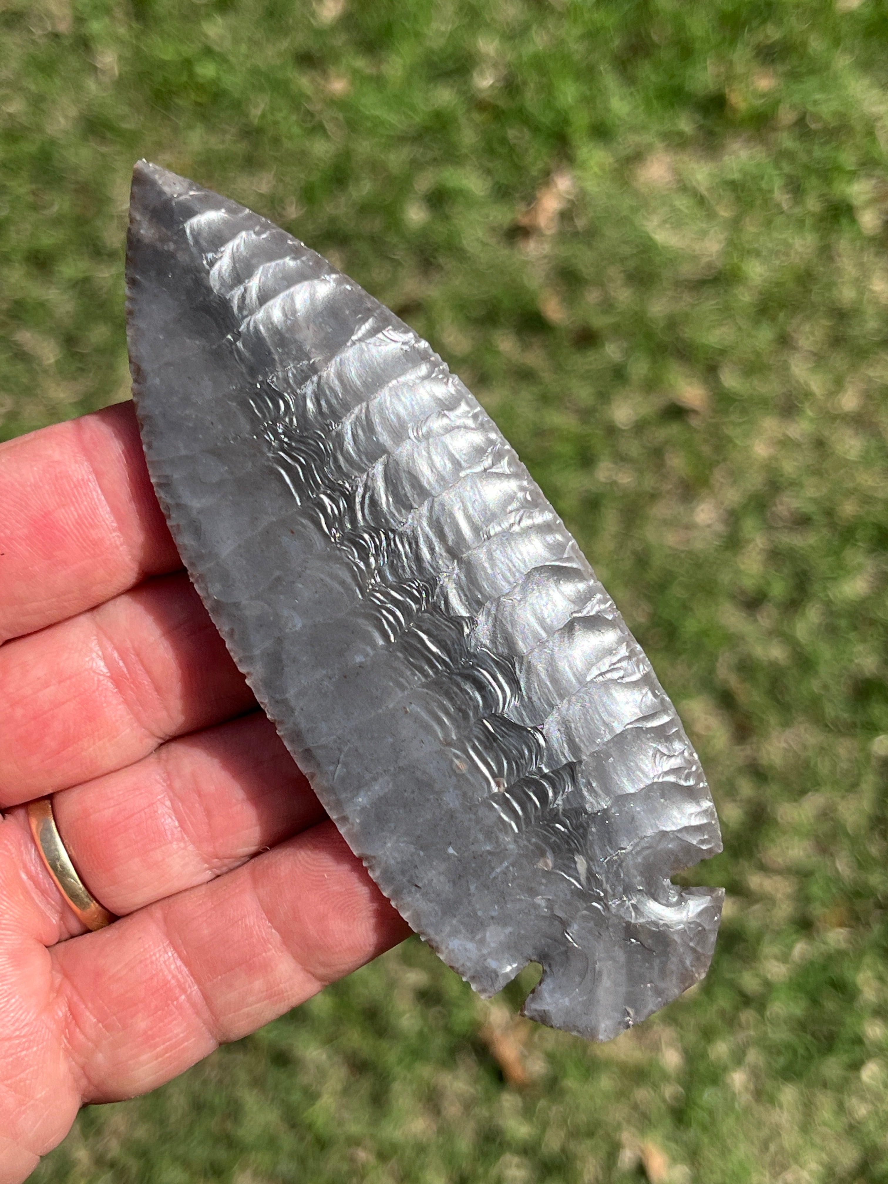 Georgetown Dove tail blade ￼