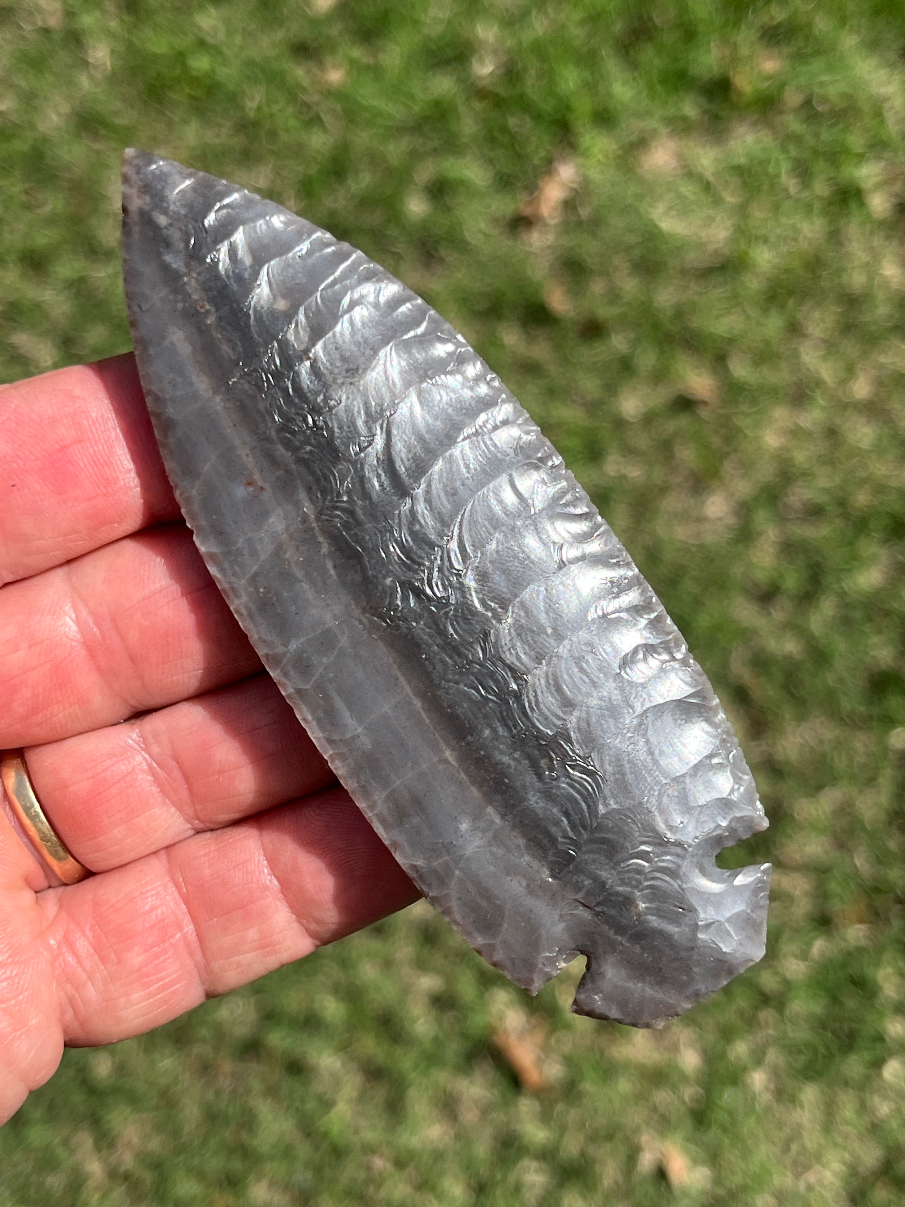 Georgetown Dove tail blade ￼