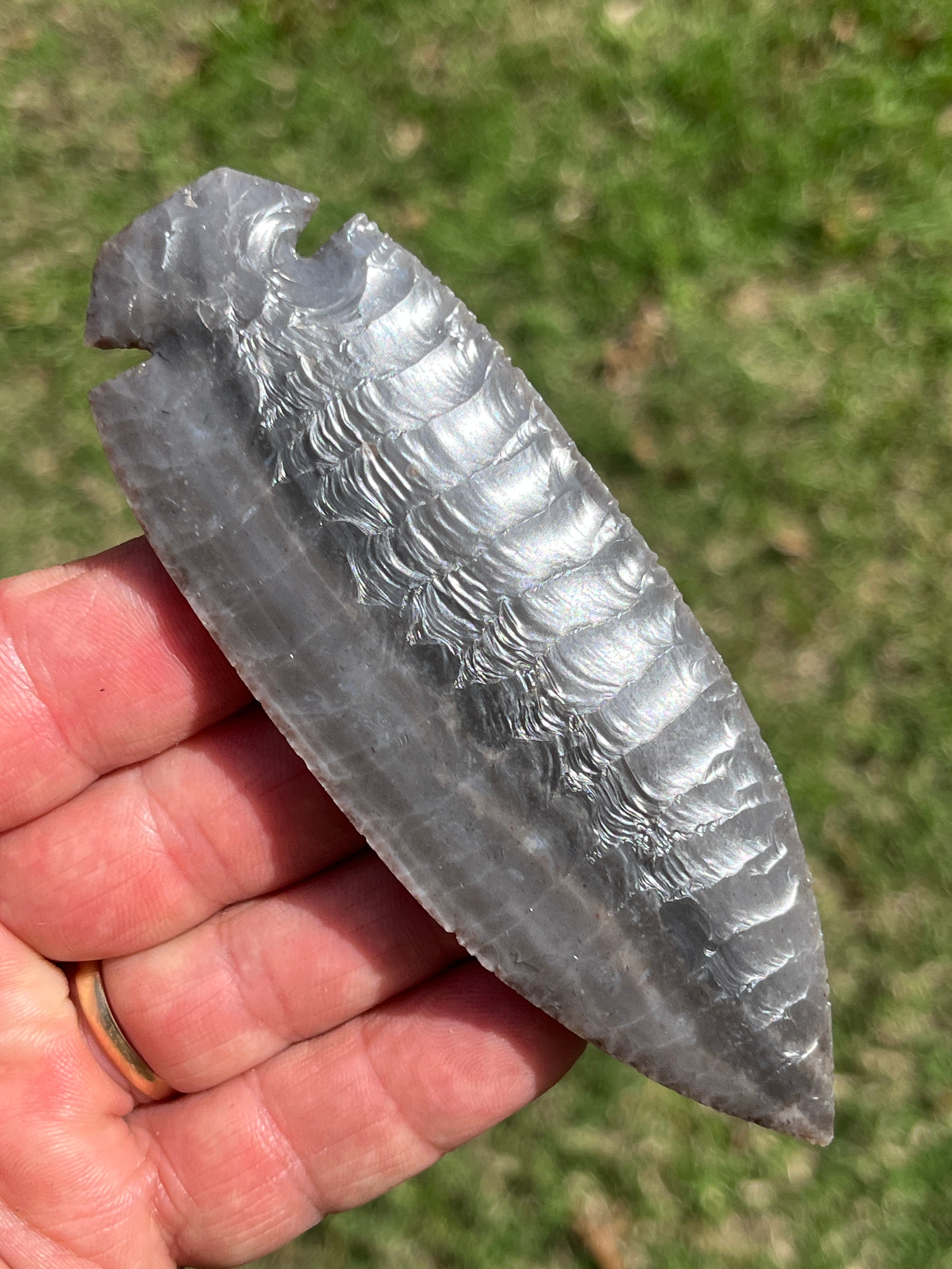 Georgetown Dove tail blade ￼