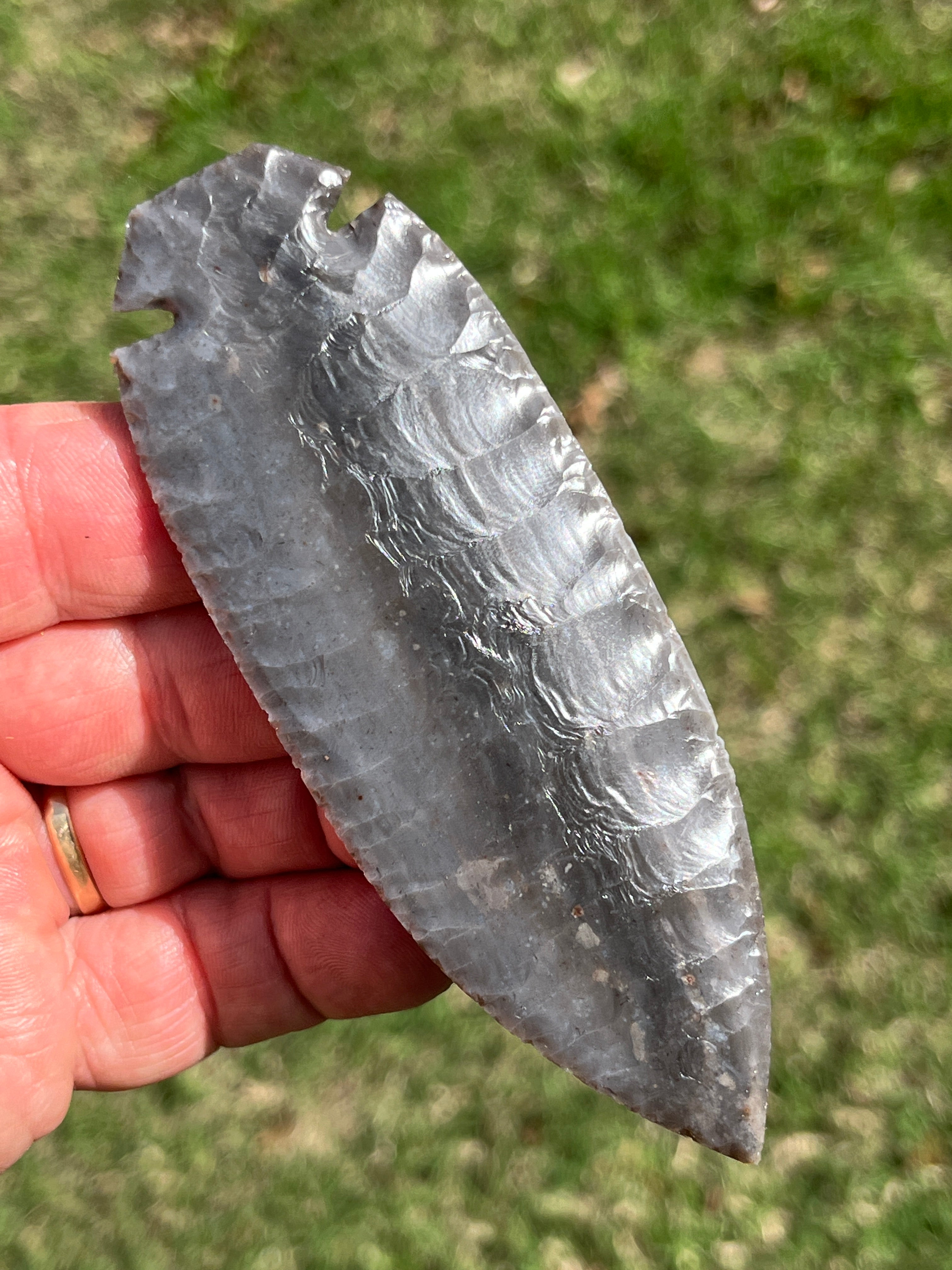 Georgetown Dove tail blade ￼